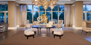 Harrison at Reston Town Center Gallery 59