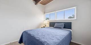 Belcrest Plaza Gallery 52