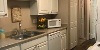 The Signature Gallery 62