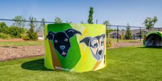 Cottages Of Monroe Gallery 37