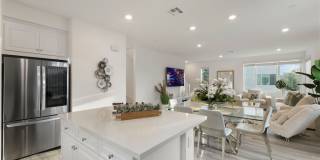 225 Steely Gallery 10