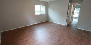 East Austin 4BR Gem on Cul-de-Sac w/ Spacious Lot & Updates Gallery 26