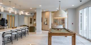 Illumina at Gulf Coast Town Center Gallery 11