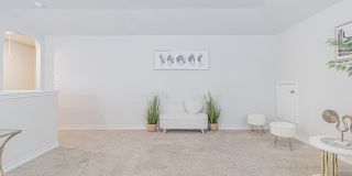 7019 CAPELLA CV Gallery 28