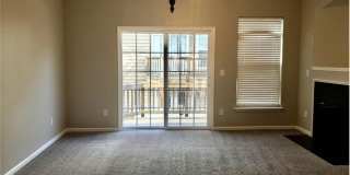 RoyalCeladon6454 Gallery 10