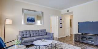 Addison at Cherry Creek Gallery 25