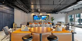 Aster & Links Gallery 61