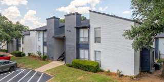 District 2308 Gallery 6