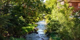 The Harth Gallery 50