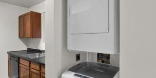 Geno Baroni Gallery 9