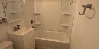 3 BR/1BA | Newly Renovated Single Family Home | Gated backyard | In South Tampa! Gallery 6