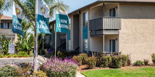 Amara Apartments Gallery 1