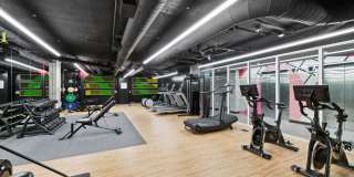 Collection 14 Gallery 12