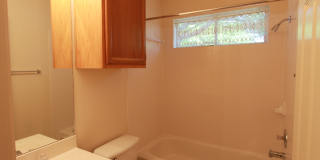 3 Bedroom, 2 Bath Home in Cedar Park Gallery 15