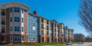 Pinnacle Apartments Gallery 11