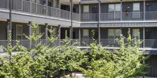 Thrive Argenta Gallery 23