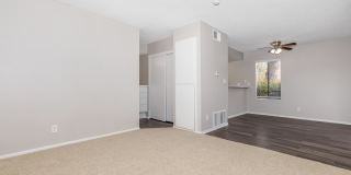 Mountain Springs Gallery 57