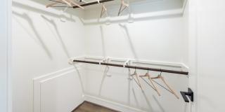 Eden at Sunterra Gallery 21