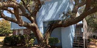 Walk to the Beach, 2 Bedroom, 1 Bath, Unfurnished Condo, Utilities Included! Gallery 16