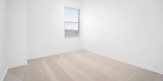 2023 Delphine Drive Gallery 21