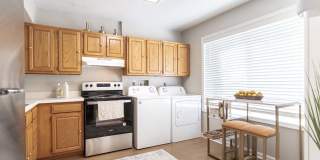 North Woods At The Four Seasons Gallery 7