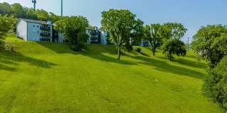 Amalie Apartment Homes Gallery 38