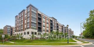 3503 Bellflower Lane Gallery 4