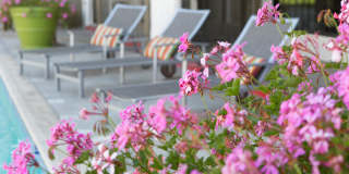 Park Terrace Gallery 4