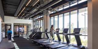 Orlo & Alba Gallery 27