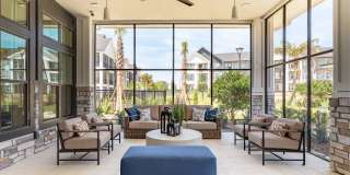 Alta Citron Gallery 23