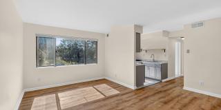 1031 MICHIGAN Avenue NE unit: 203 Gallery 1
