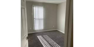 Bellevue Towers Gallery 88