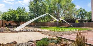 Updated 4 Bed, 2 Bath Home in Briargate with Mountain Views, fully fenced yard, 2 car garage and AC Gallery 20