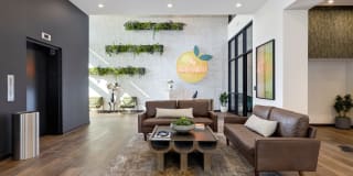 The Orchard Gallery 1