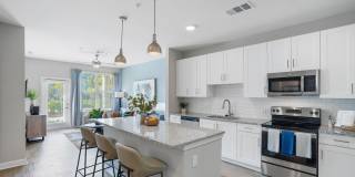 Mason Stuart Gallery 2