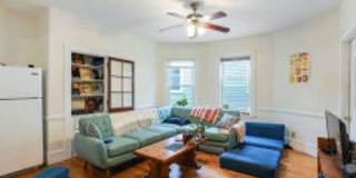 Huge, Beautiful, Fully Renovated Mission Hill 6 Bed/2 Bath on Sachem St for Sept 1st, 2026 Gallery 4
