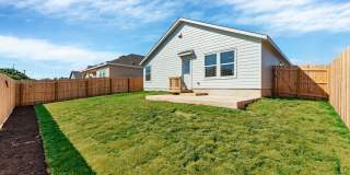 332 Elephants Ear Gallery 21