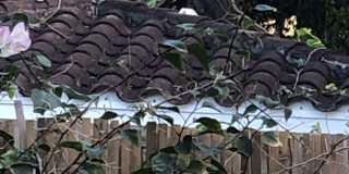 3084 Jefferson Street Gallery 45