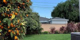 5518 Autry Avenue Gallery 18