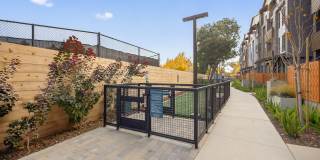 Sevens Luxury Apartment Gallery 165