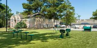 Dogwood Creek Gallery 22