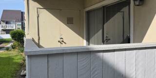 170 Amberway Apartments Gallery 12