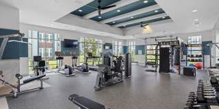 Integra Myst Gallery 27