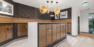 110 Roy Gallery 37