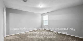 6807 Hibiscus Fls Gallery 7