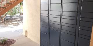 Kensington Gallery 12