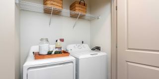 Livano Nations Gallery 14