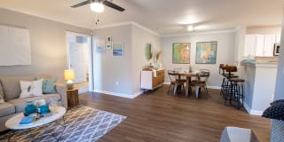 South Beach Gallery 25