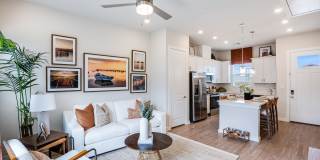 Yardly Elm Gallery 14