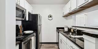 ReNew Ann Arbor Gallery 1